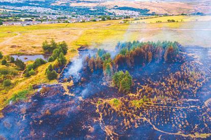 shutterstock_1141183763_cred Richard Whitcombe