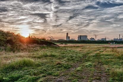 Climate biodiversity