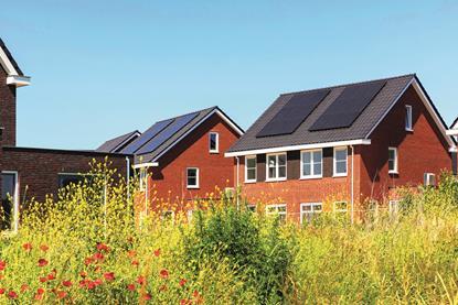 Biodiversity_credit_shutterstock_learae